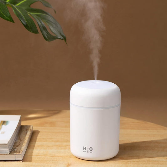 Mini humidificateur portable